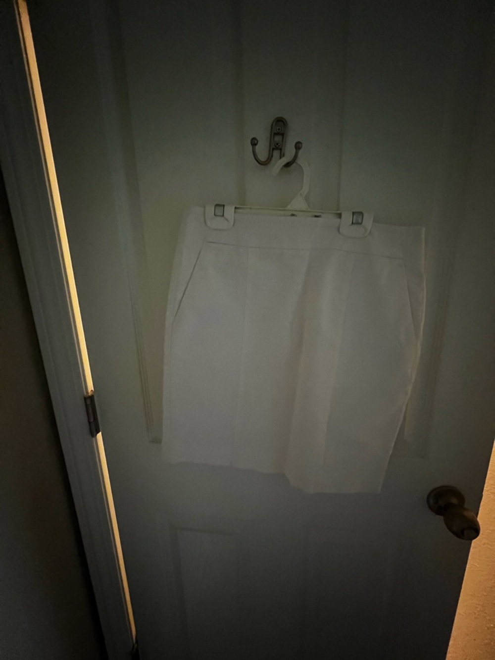 Ann Taylor Petite White Skirt